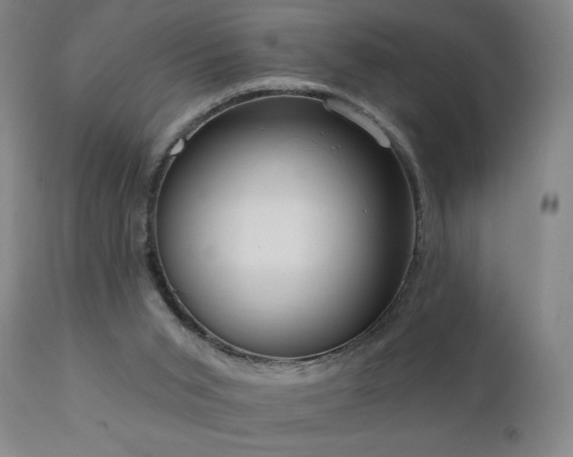 X0000111050015200906251444