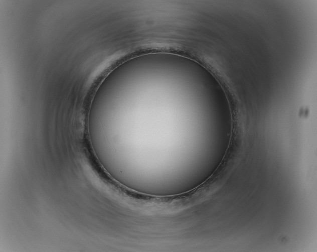 X0000111050016200906251444