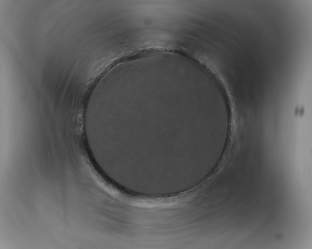 X0000111050017200906251444