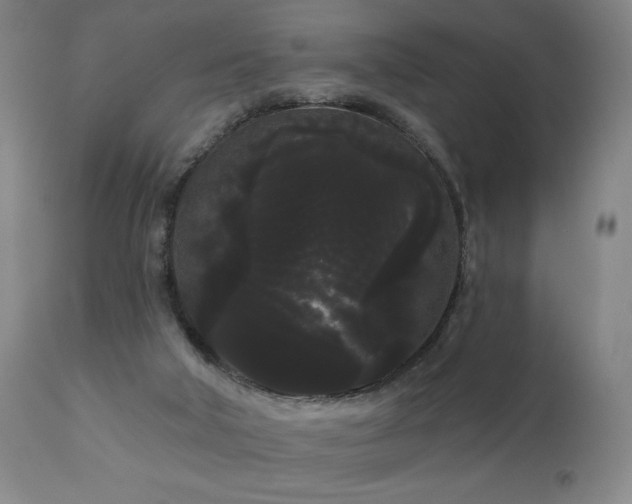 X0000111050018200906251444