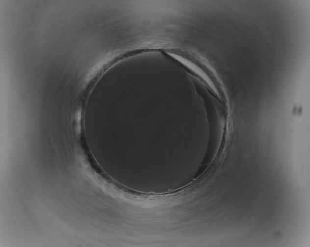 X0000111050019200906251444