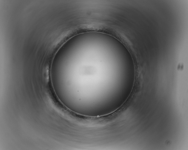 X0000111050020200906251444