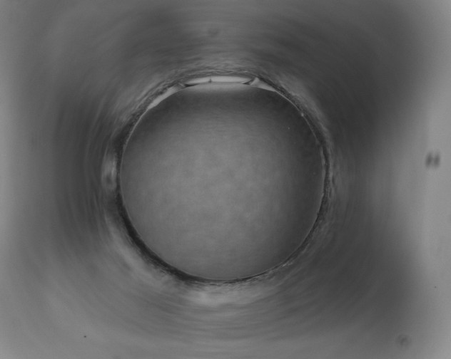 X0000111050021200906251444