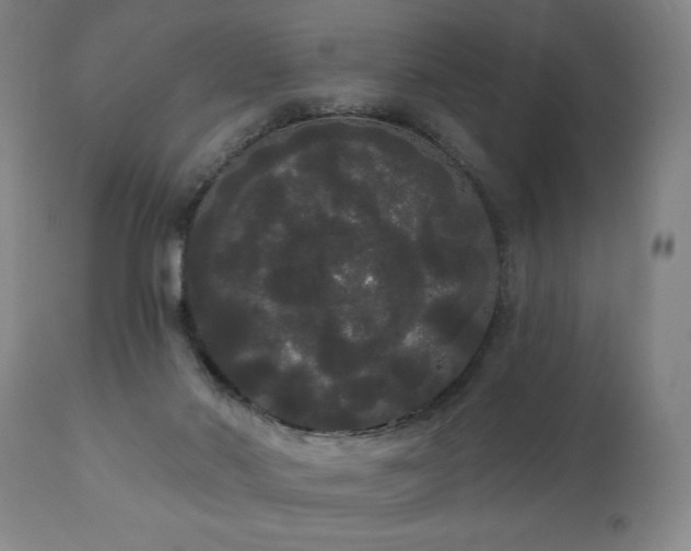 X0000111050022200906251444