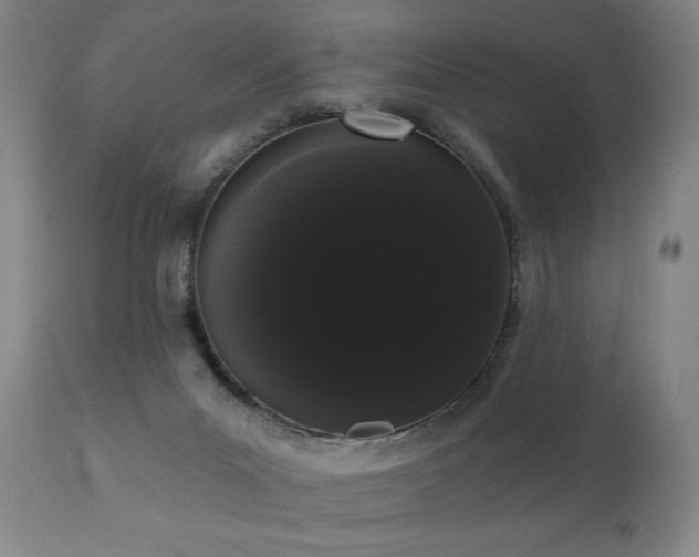 X0000111050023200906251444