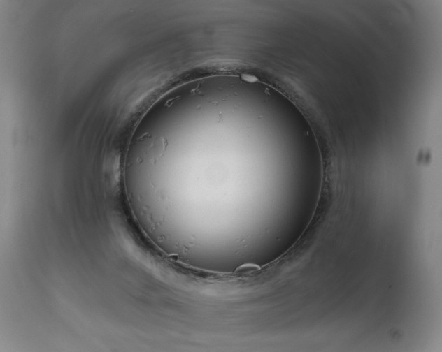 X0000111050024200906251444