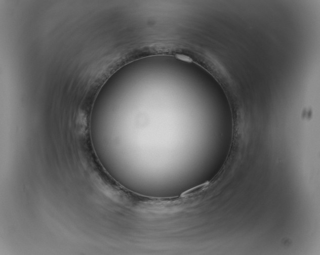 X0000111050025200906251444