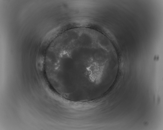 X0000111050026200906251444