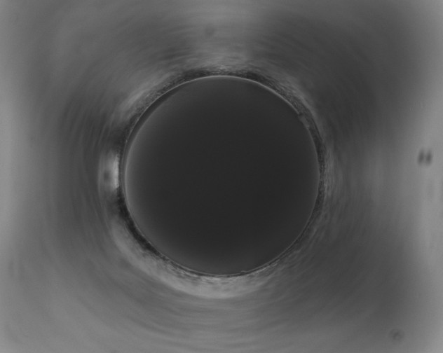 X0000111050027200906251444