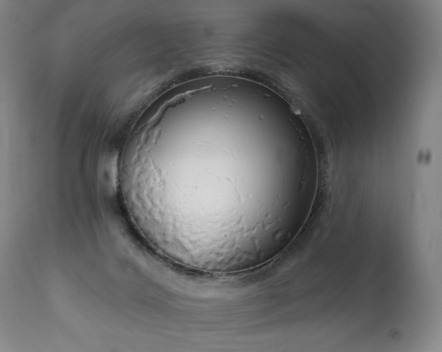 X0000111050028200906251444