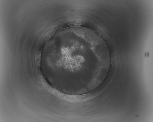 X0000111050030200906251444