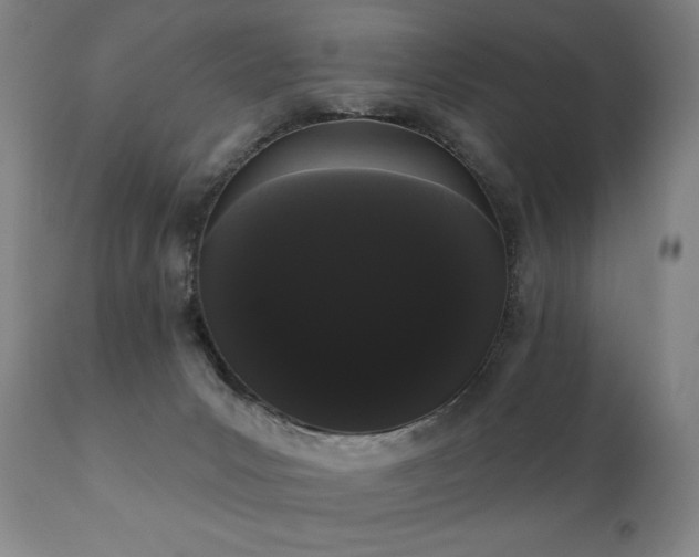 X0000111050031200906251444