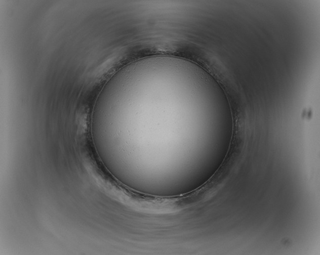 X0000111050032200906251444