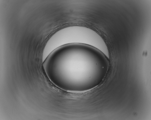 X0000111050033200906251444