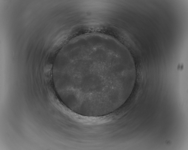 X0000111050034200906251444