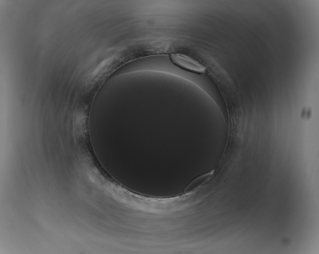 X0000111050035200906251444