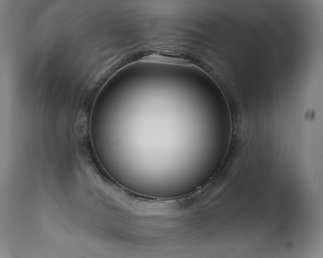 X0000111050036200906251444