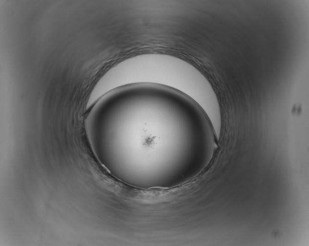 X0000111050037200906251444