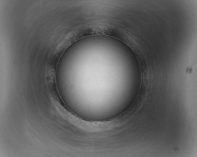 X0000111050038200906251444