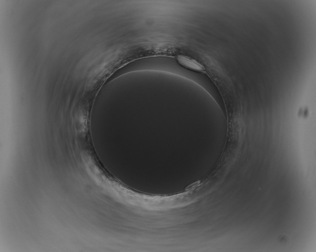 X0000111050039200906251444