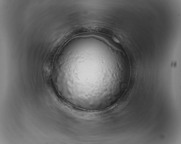 X0000111050040200906251444