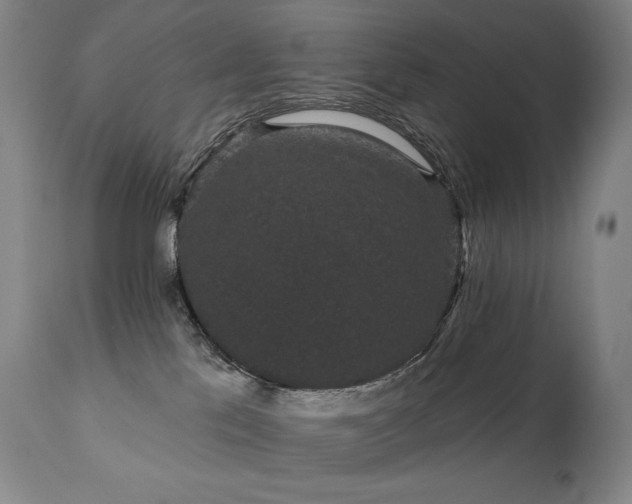 X0000111050041200906251444