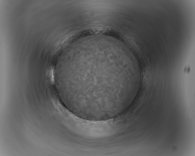 X0000111050042200906251444