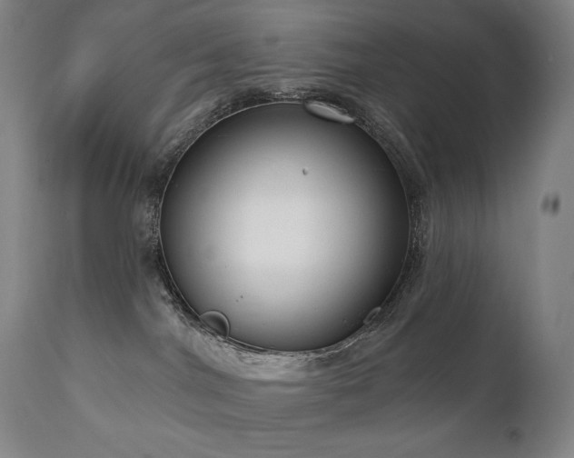 X0000111050044200906251444