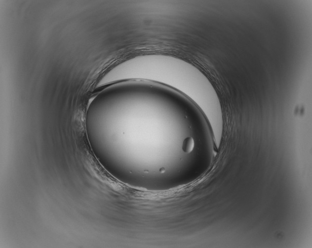 X0000111050045200906251444