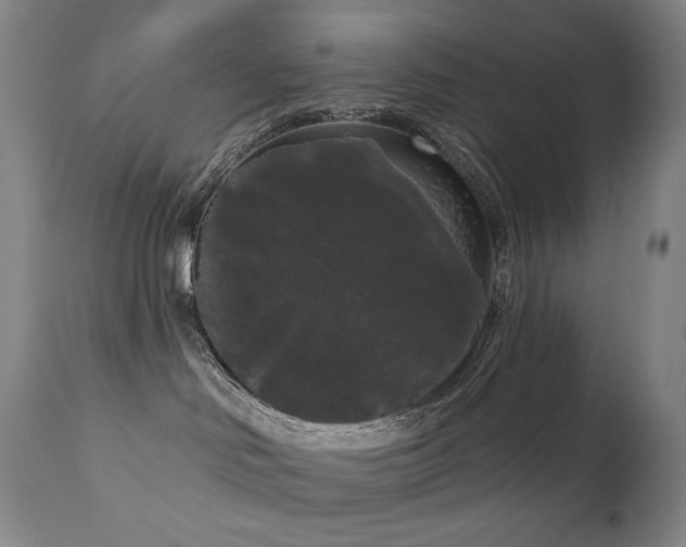 X0000111050046200906251444