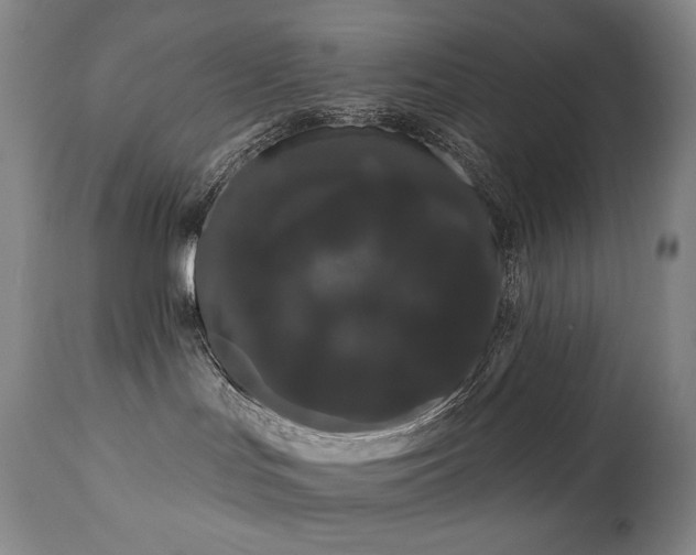 X0000111050047200906251444