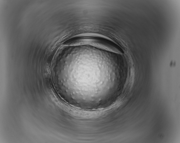 X0000111050048200906251444