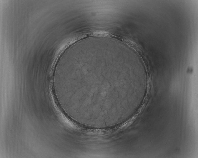 X0000111050049200906251443