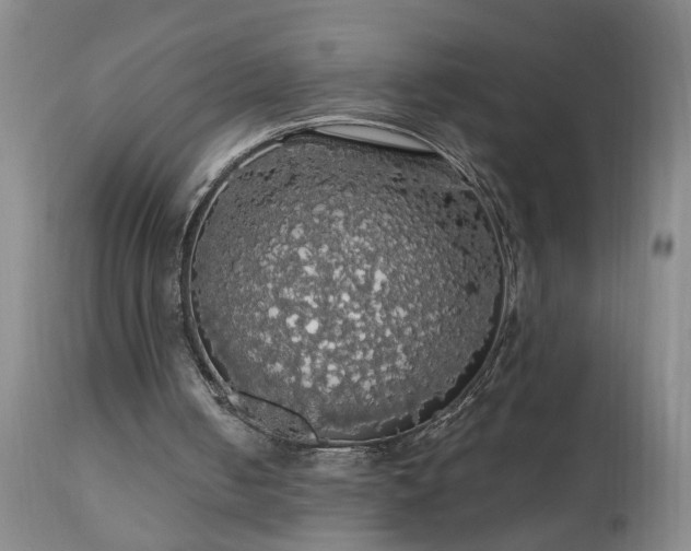 X0000111050050200906251443