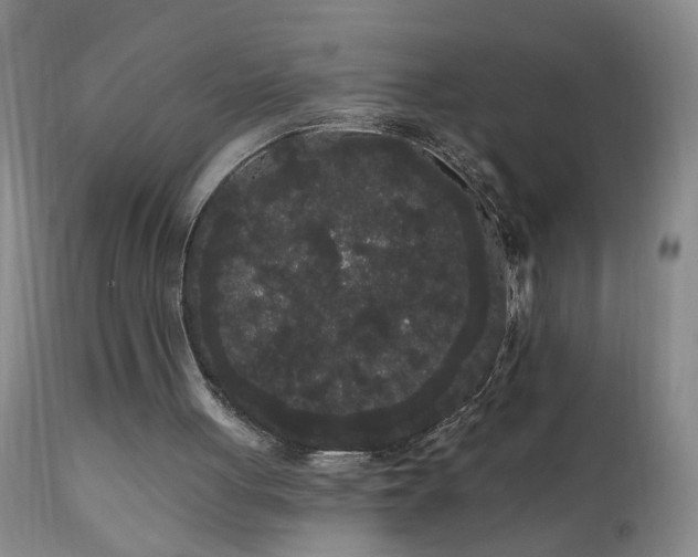 X0000111050051200906251443