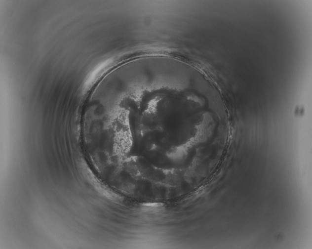 X0000111050053200906251443