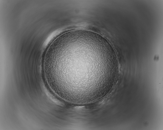 X0000111050054200906251443