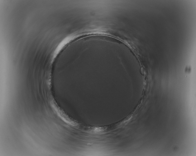 X0000111050056200906251443