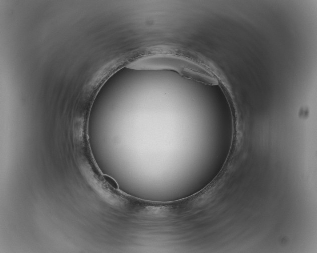 X0000111050057200906251443