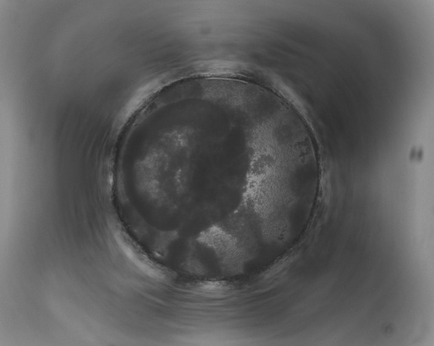 X0000111050059200906251443