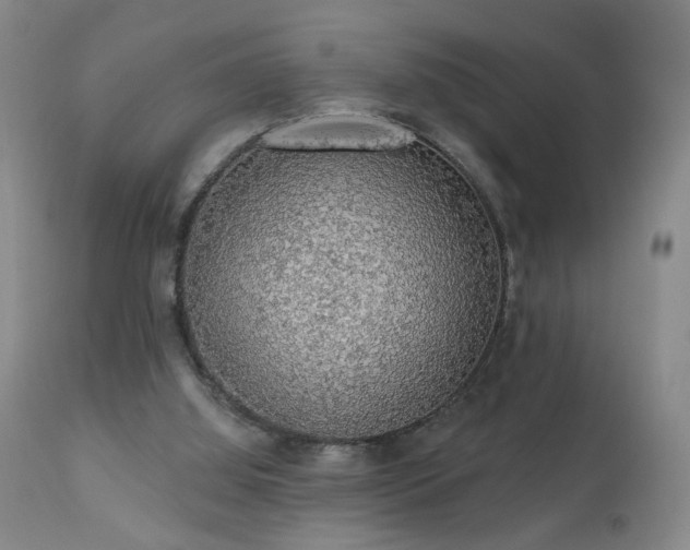 X0000111050060200906251443