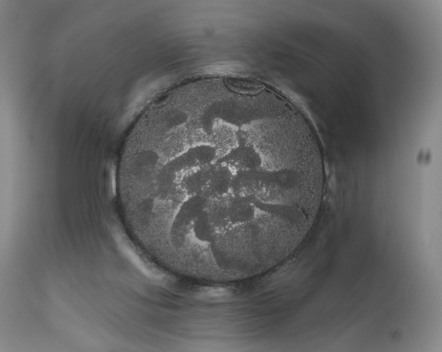 X0000111050061200906251443