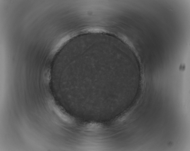 X0000111050063200906251443