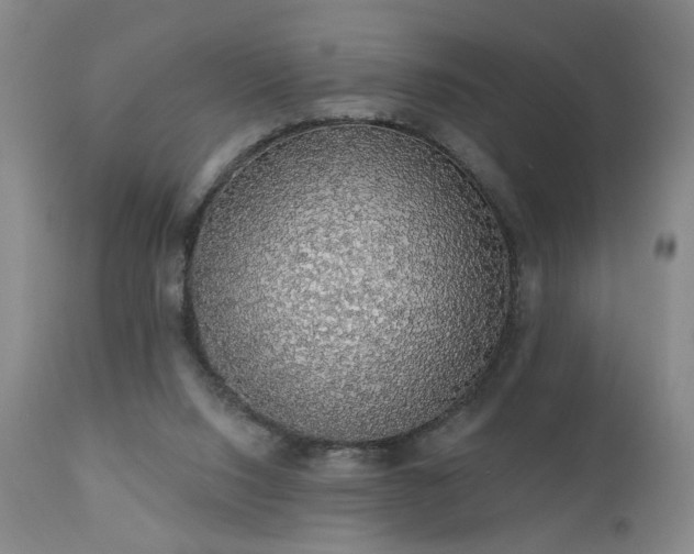 X0000111050064200906251443