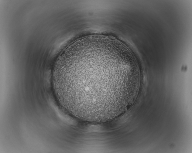 X0000111050066200906251443