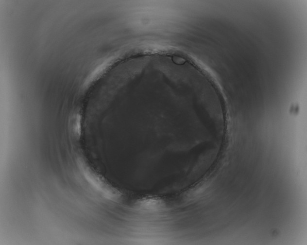 X0000111050067200906251443