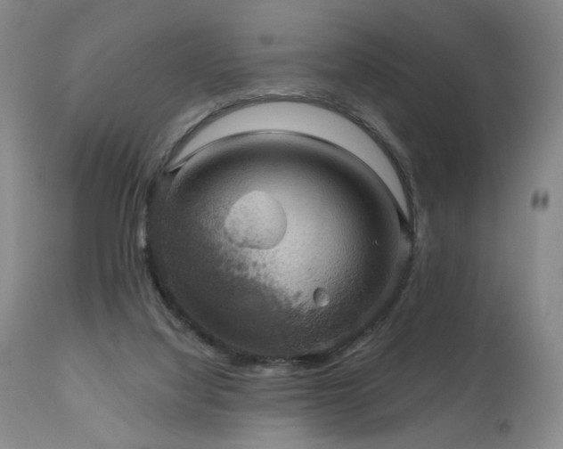 X0000111050068200906251443