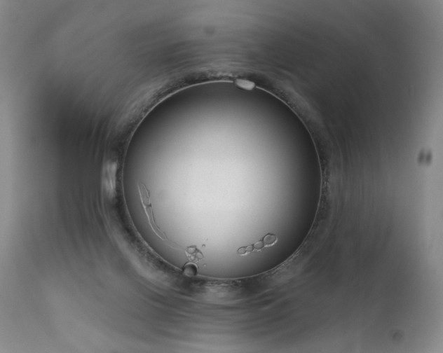 X0000111050070200906251443