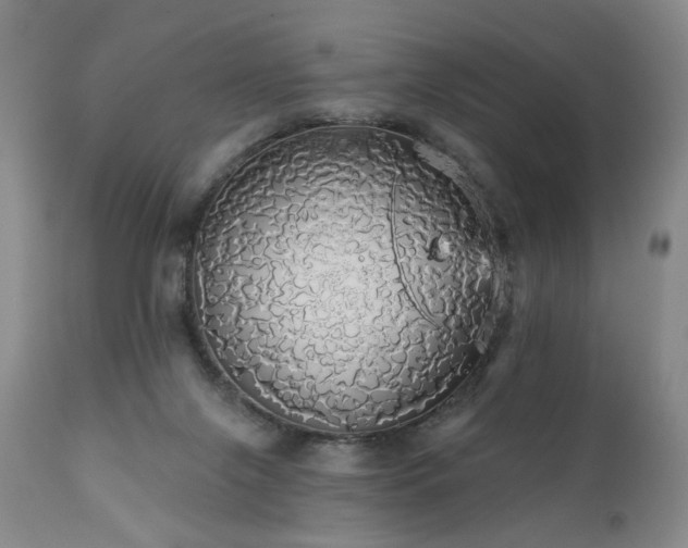 X0000111050071200906251443