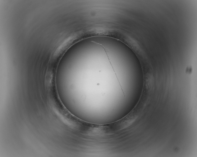 X0000111050072200906251443